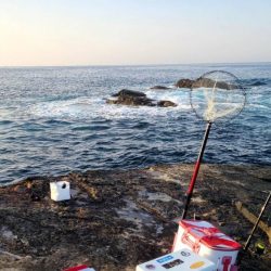 和歌山市江(吉丸渡船)で磯フカセ