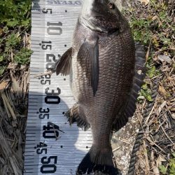 イチノ兄弟（兄）釣果！