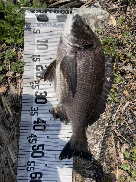 イチノ兄弟（兄）釣果！