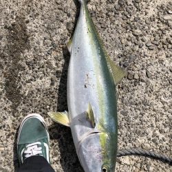 寝坊からのブルーランナー