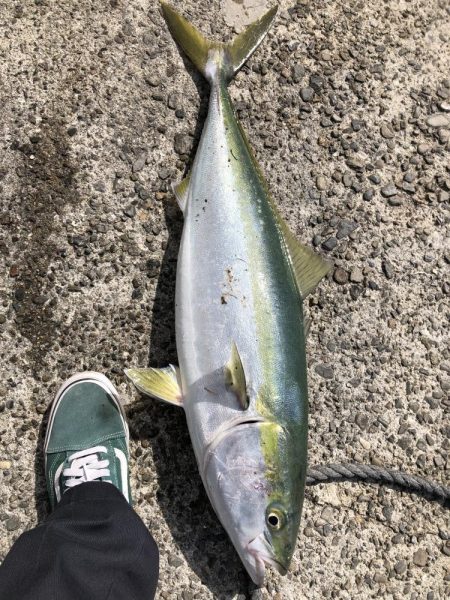 寝坊からのブルーランナー