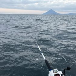 ノッコミ真鯛を狙って遠征してきました