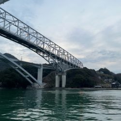 天草でコウイカ初挑戦してきました