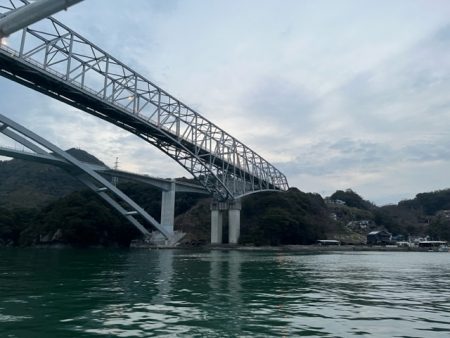 天草でコウイカ初挑戦してきました