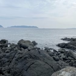 今年初めてのノッコミチヌ狙いでした