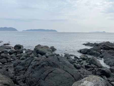 今年初めてのノッコミチヌ狙いでした