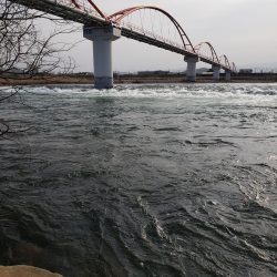 解禁です、サクラ居ませんが渓流は良いですね