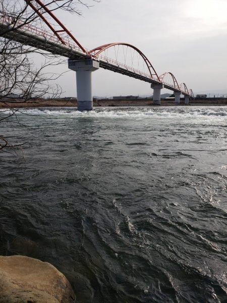 解禁です、サクラ居ませんが渓流は良いですね