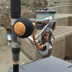 小島漁港で鰯と鯖