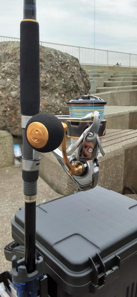 小島漁港で鰯と鯖