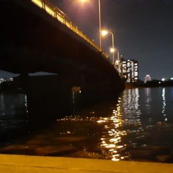 西宮　シーバス