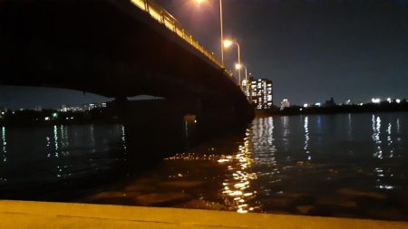 西宮　シーバス