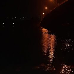 西宮周辺 シーバス