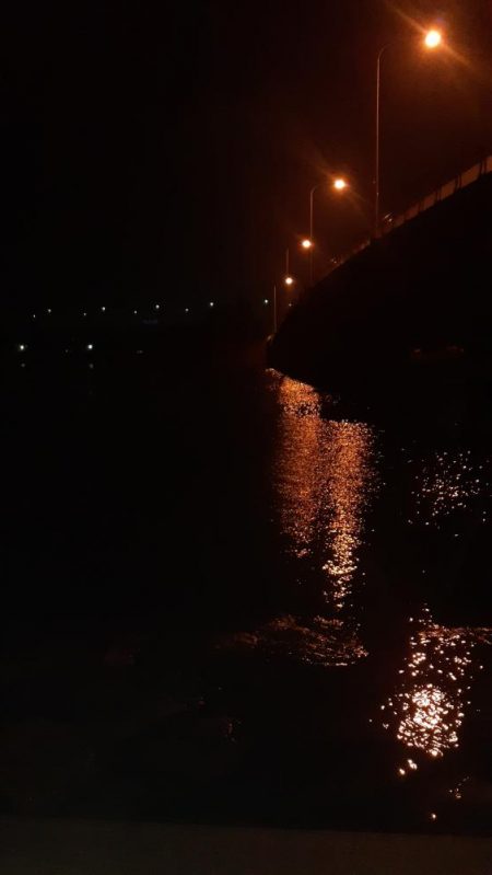 西宮周辺 シーバス