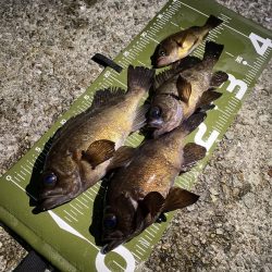 ドリフトメバリング