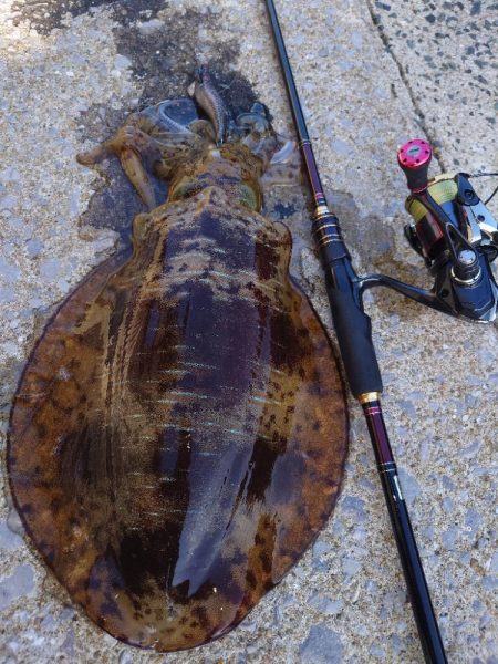 風＆ウネリエギングIN対馬