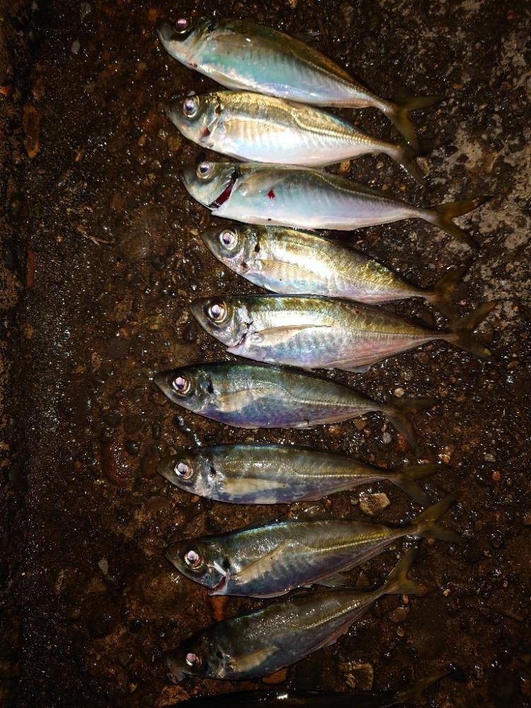 アウェイの洗礼