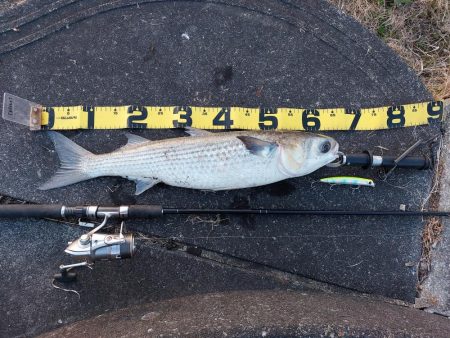 夕暮れのプチsalt water game…