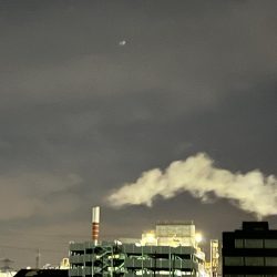 いつものガシラさん