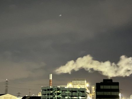 いつものガシラさん