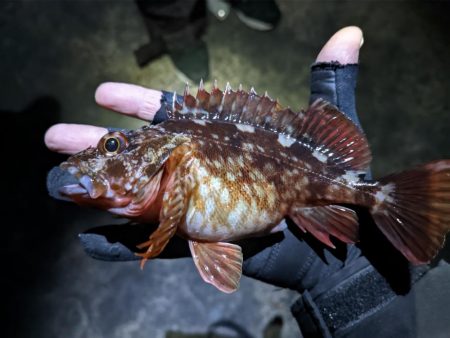友達との釣りオール前半戦
