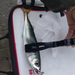 シーサイドコスモにて