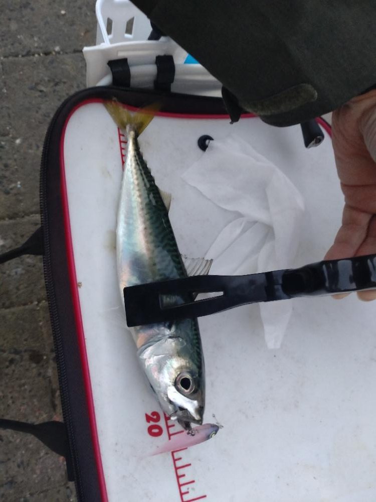 シーサイドコスモにて