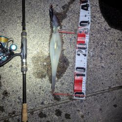 このままシーズン終了か？