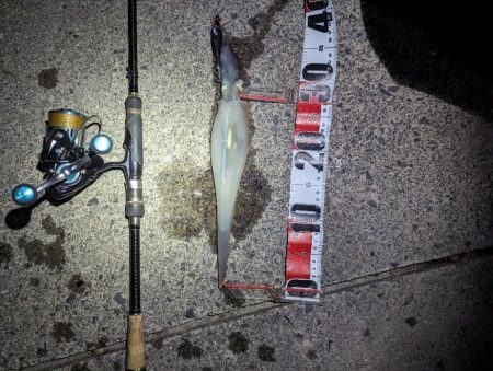 このままシーズン終了か？