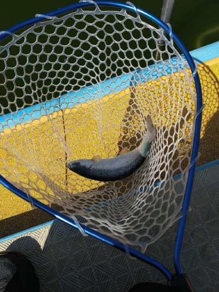 久宝寺の市民プールで☆