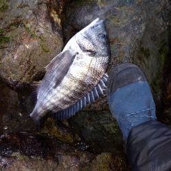 大塩海岸の投げ釣り