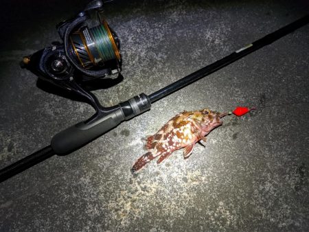 悪状況での釣り