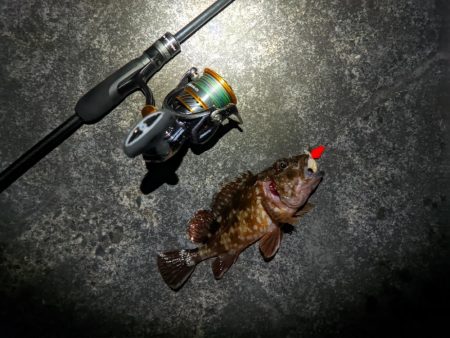 釣りって難しい