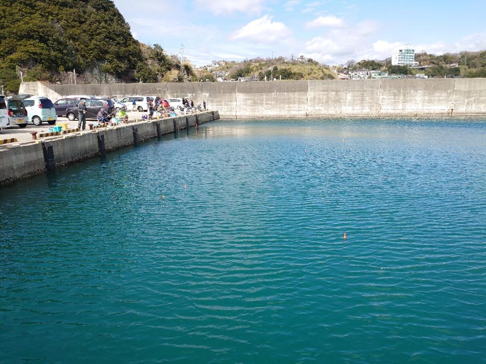 まだまだマイワシ