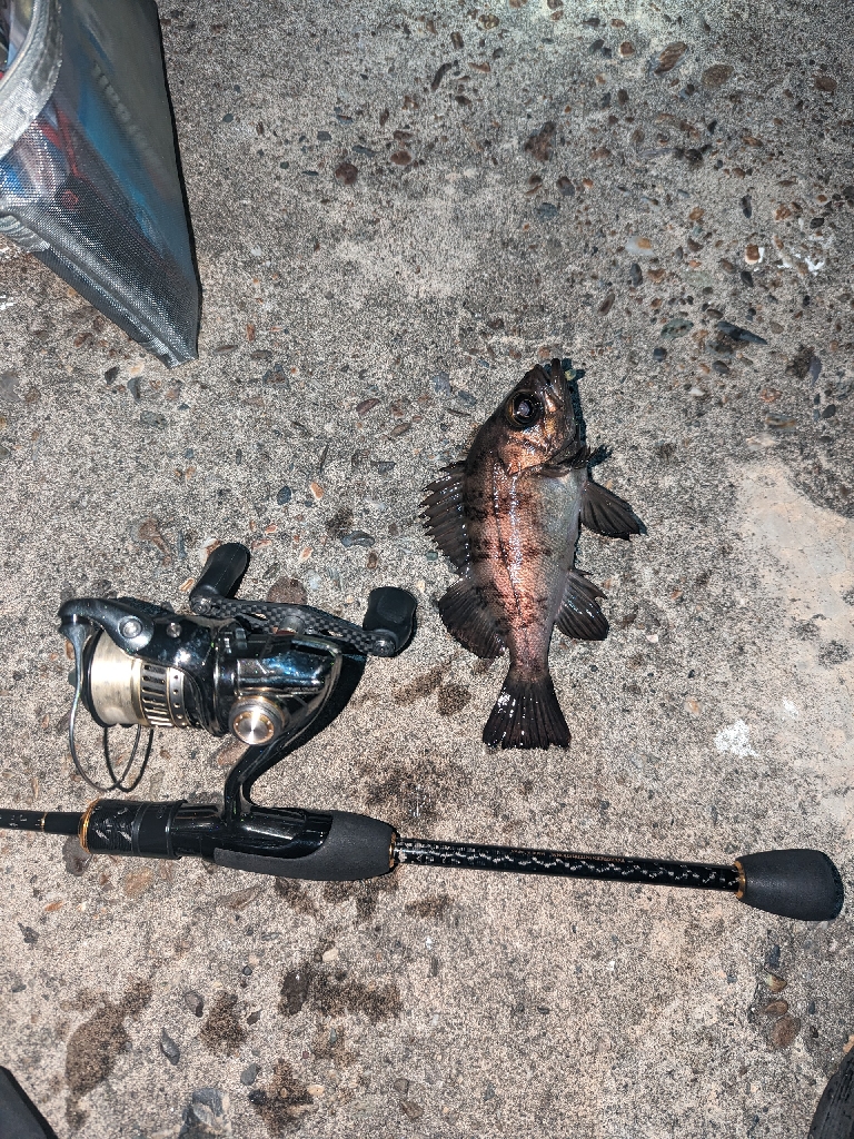 始まったかな？