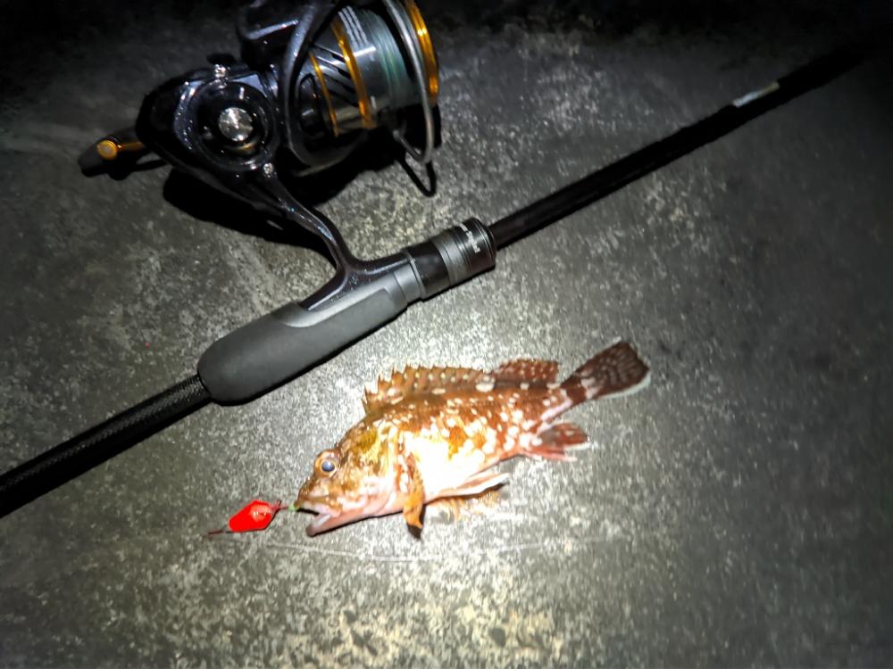 水温13℃きたー！！！