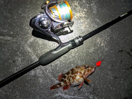 ライトゲームはやはり夏前まで無理なのか