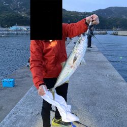 青物はいってまーす♫