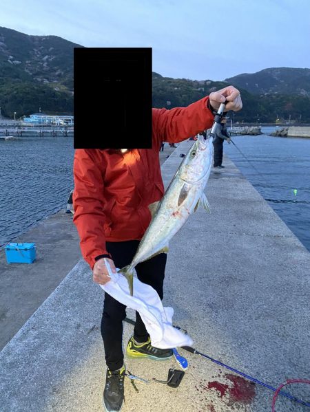 青物はいってまーす♫