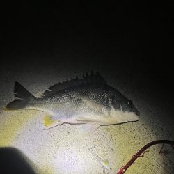 奇跡ってあります！