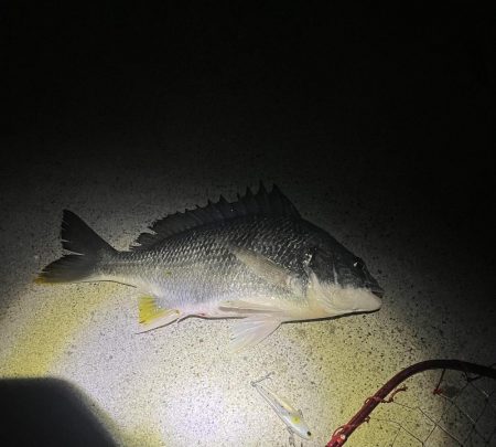 奇跡ってあります！