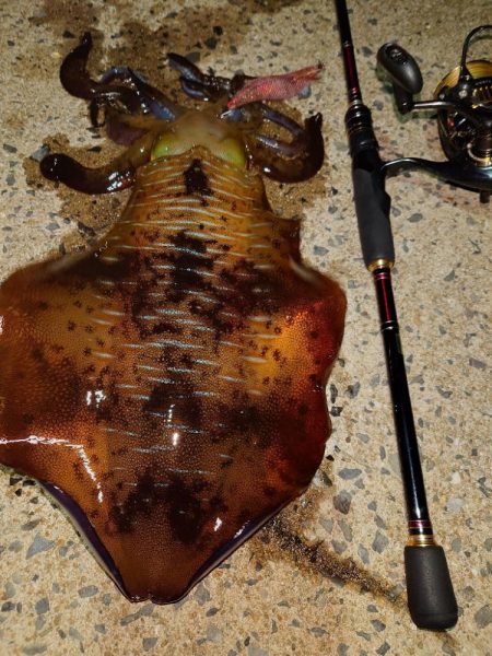 黄砂エギングIN対馬