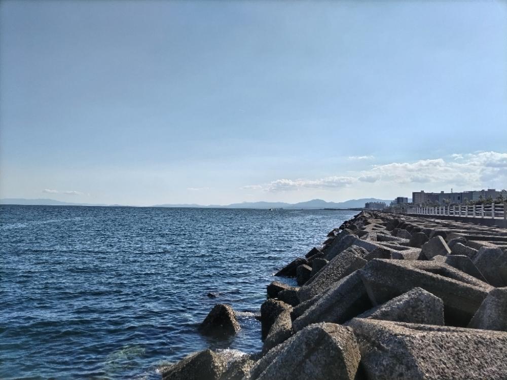 ちびオオモンハタ釣れました。