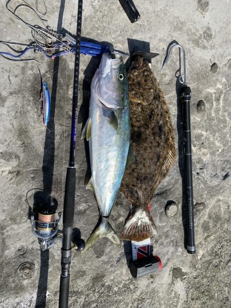 アオリイカ釣りたい!