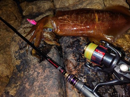 凪エギングIN対馬