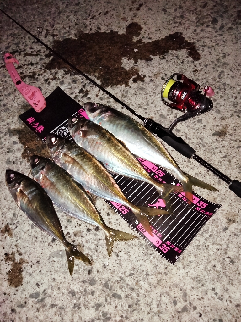 自己記録更新！