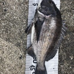 イチノ兄弟(兄)釣果!