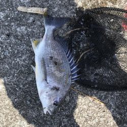 ずぼ釣り