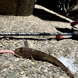 今年初の日本海!!