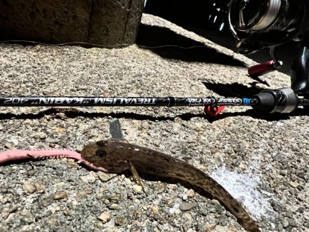 今年初の日本海!!